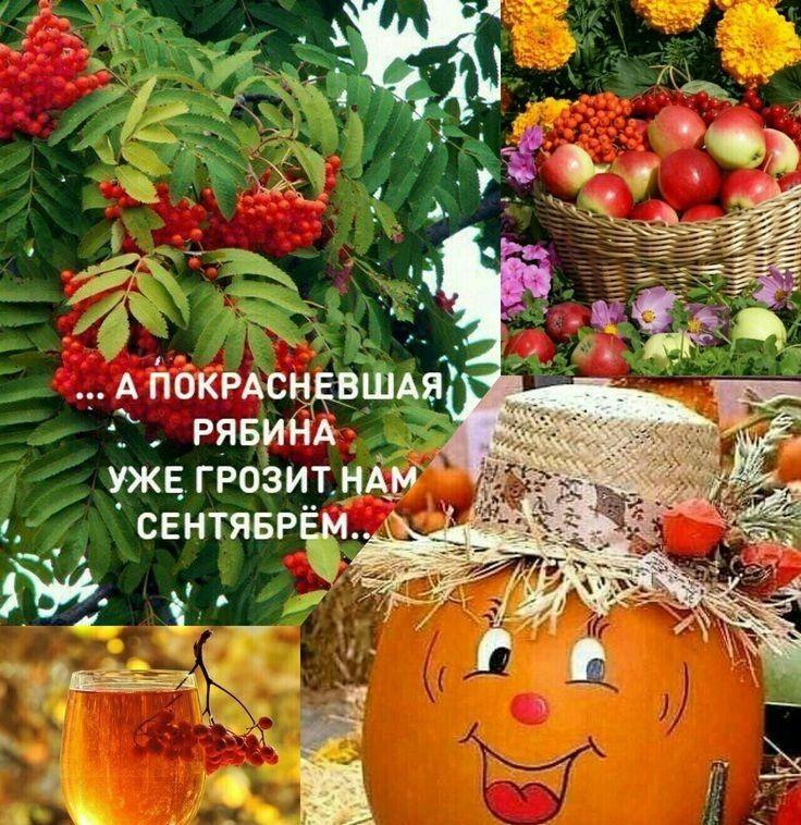 О м И _ 13 А ЙОКРАС _ _ШАя рявиёёвч юквгрозитндуі _ свнтя5РЁм 3511 _ _ еёи К _