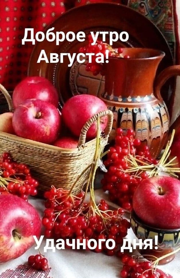 Доброе утро Августа