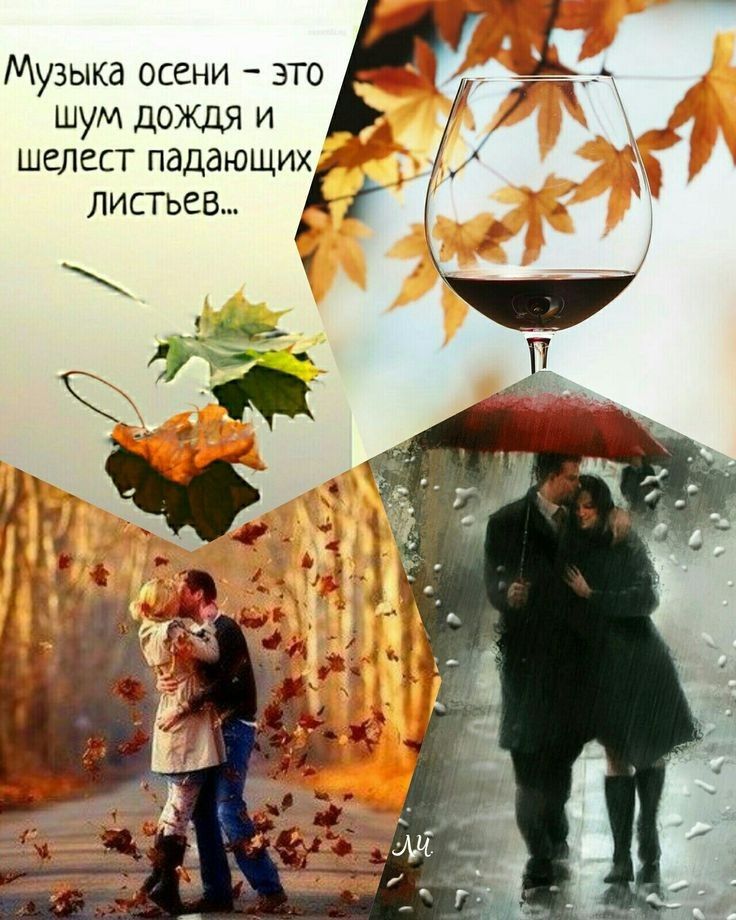 Музыка осени это шум дожля и шелест падающих ЛИСТЬЕВ