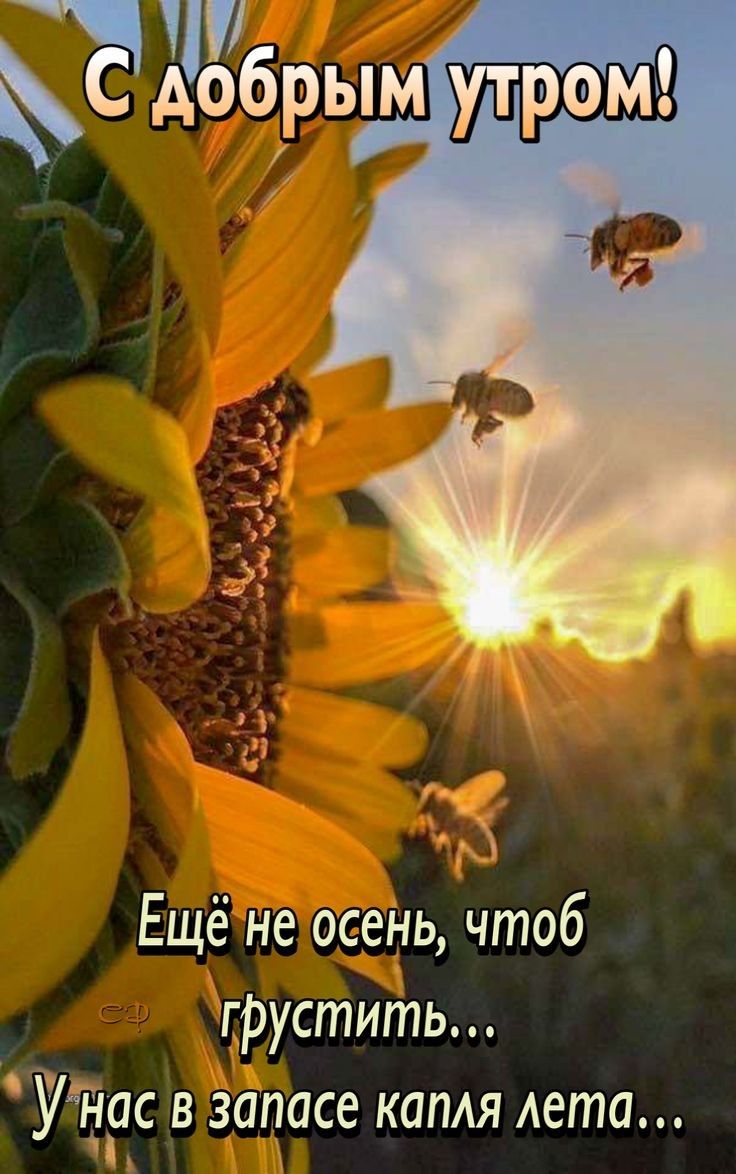 Аубрым утром Ещё не осень чтоб фустить УЁЁ9С в запасе капАя Аета