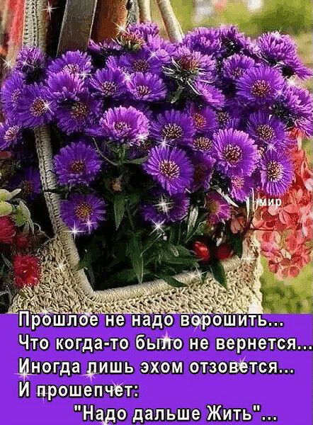 Пр е надо арошить Что когдато быіго не вернется цногдадишь эхом отзовёт ся И црошепчёт Надо дальше Жить