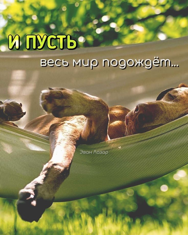 вёЁь мид П090Ж9ёт Ю В