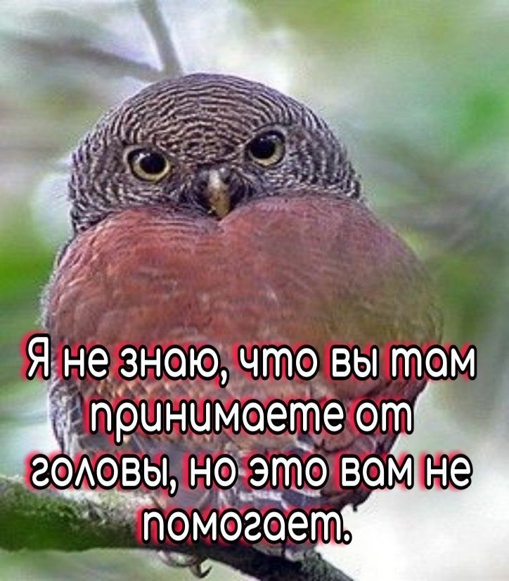 ігіоЁховы но это вёмШё 1 к пр ПОМОЗОЭГП