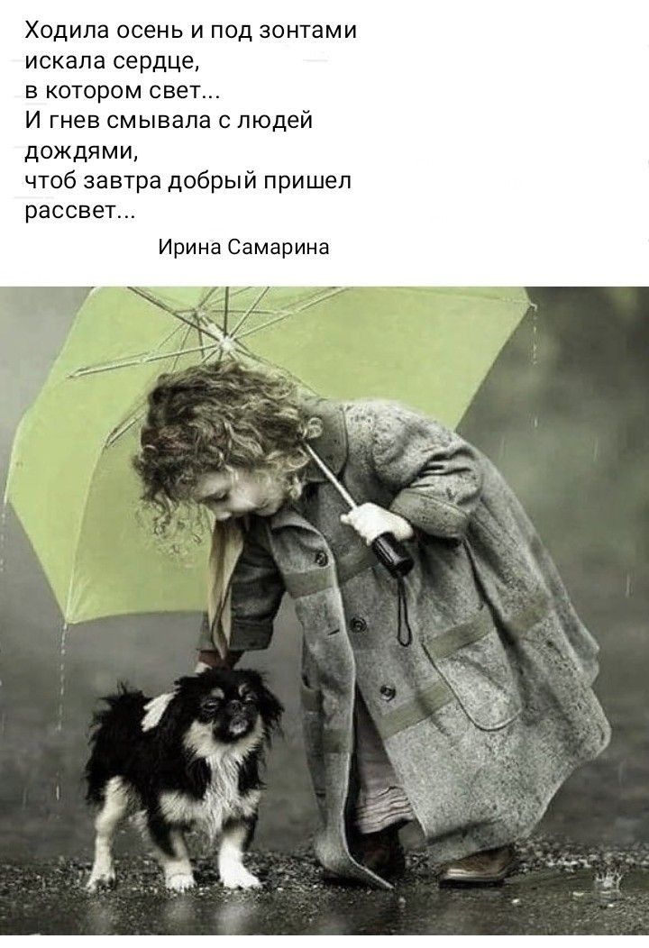 Ходила осень и под зонтами искала сердце в котором свет И гнев смывала 0 людей дождями чтоб завтра добрый пришел рассвет Ирина Самарина