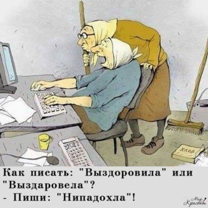 Как писат Выздоровпла или Вывдвровелн Пиши Нипадохпн
