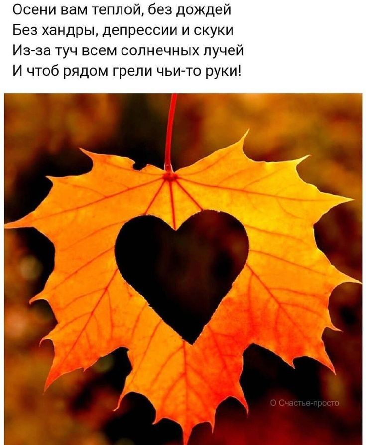 Осени вам теплой без дождей Без хандры депрессии и скуки Из за туч всем солнечных лучей И чтоб рядом грели чьито руки