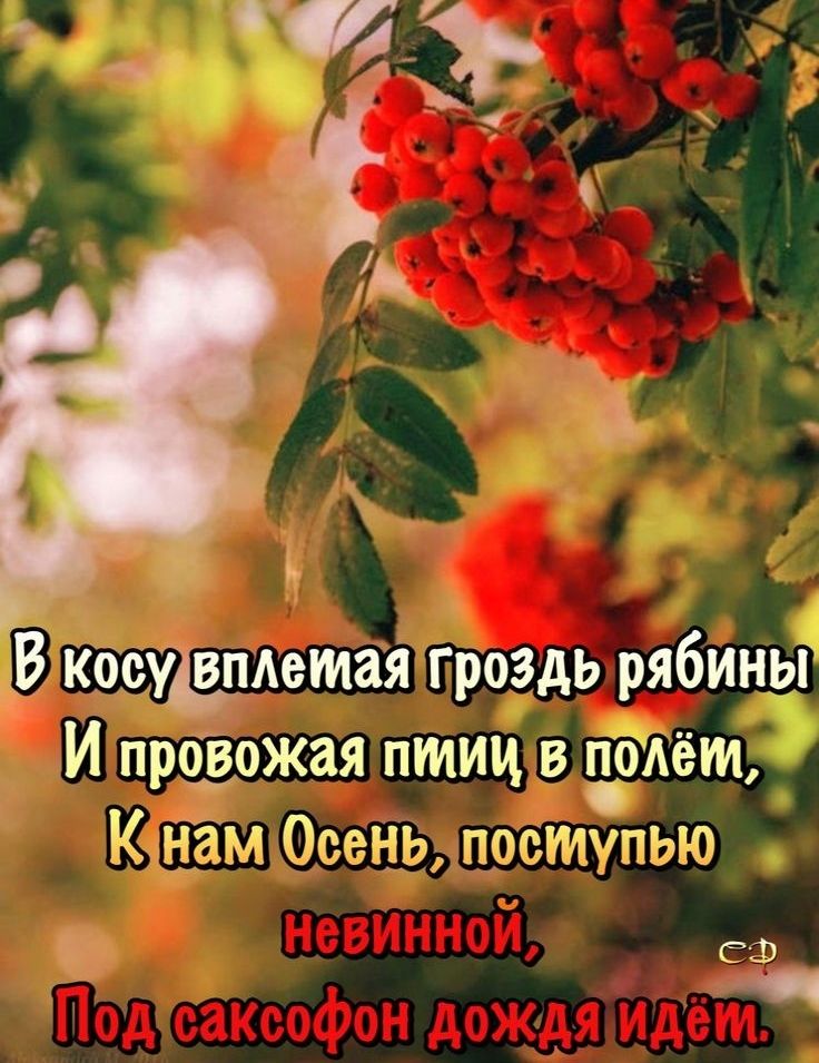 В Кбісуъпдетая гроздь рябины И провожая птиц в полёт К НЬ Ю 629