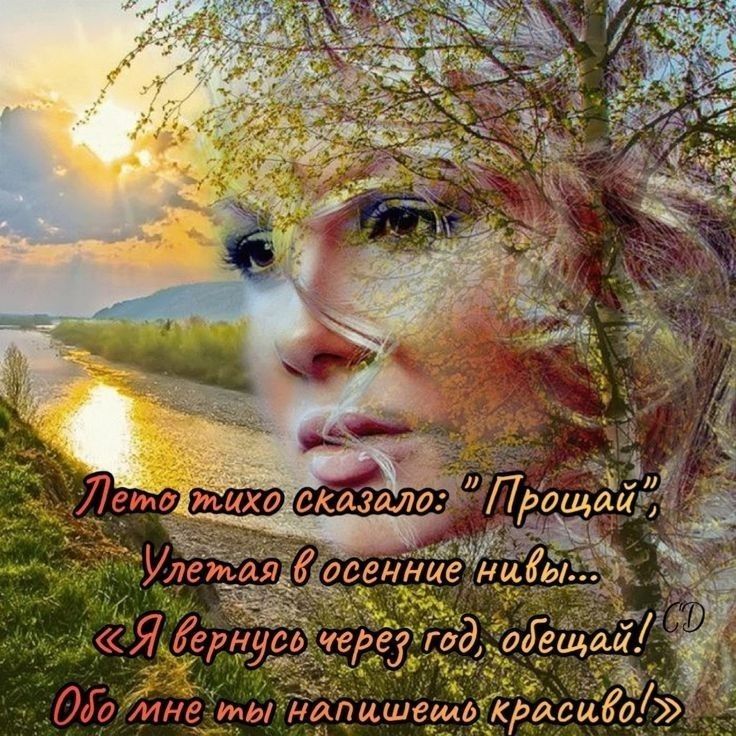 Обо?лнелты нопишетькроси