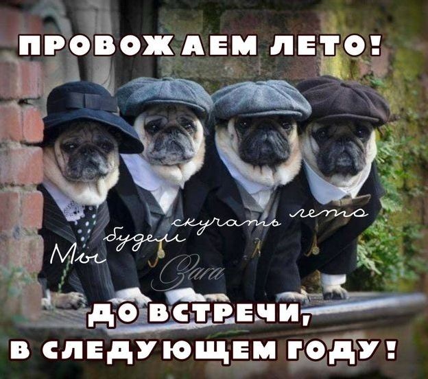25 Зді овс трвниь нд