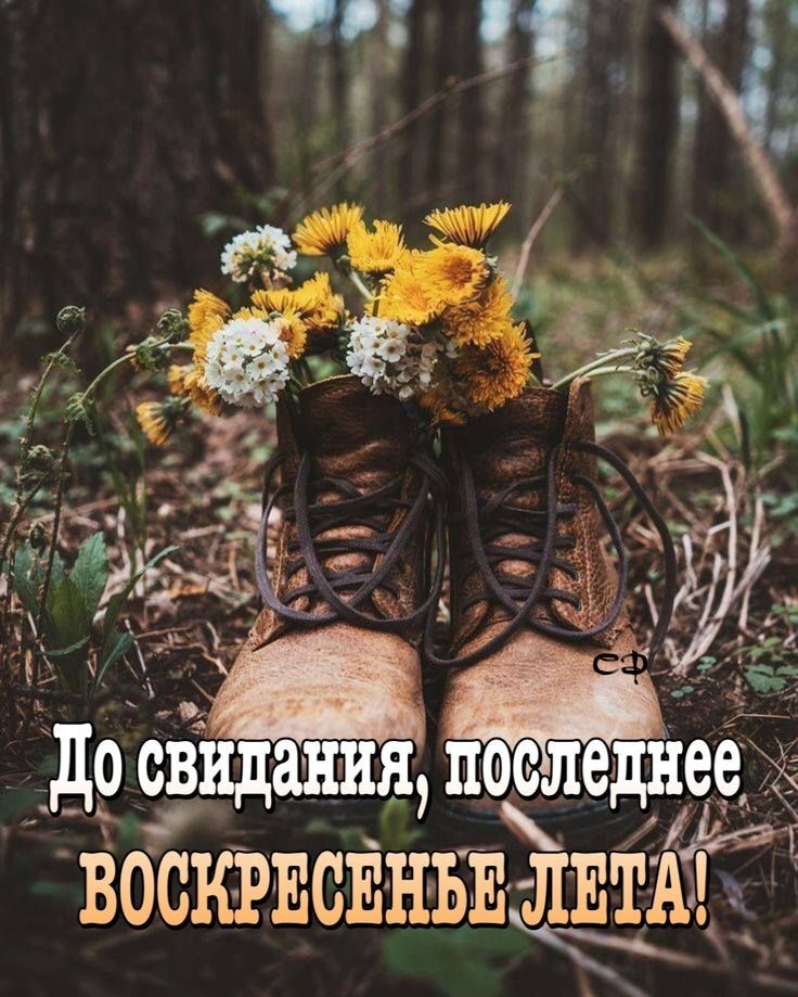 ВООЕСЕНЬЕ