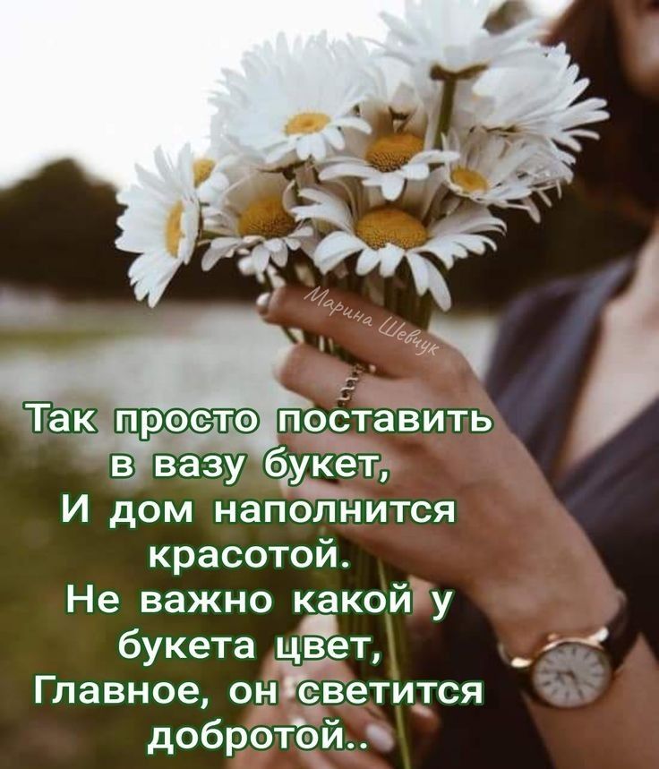 И дом наполнится красотой Не важно Ёкойгу букета цвет _ 1 Главное он еветидгся т добротой