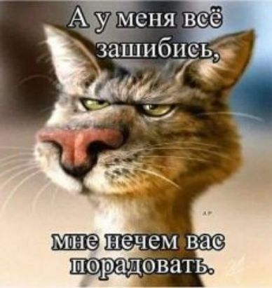 Ьпяв  