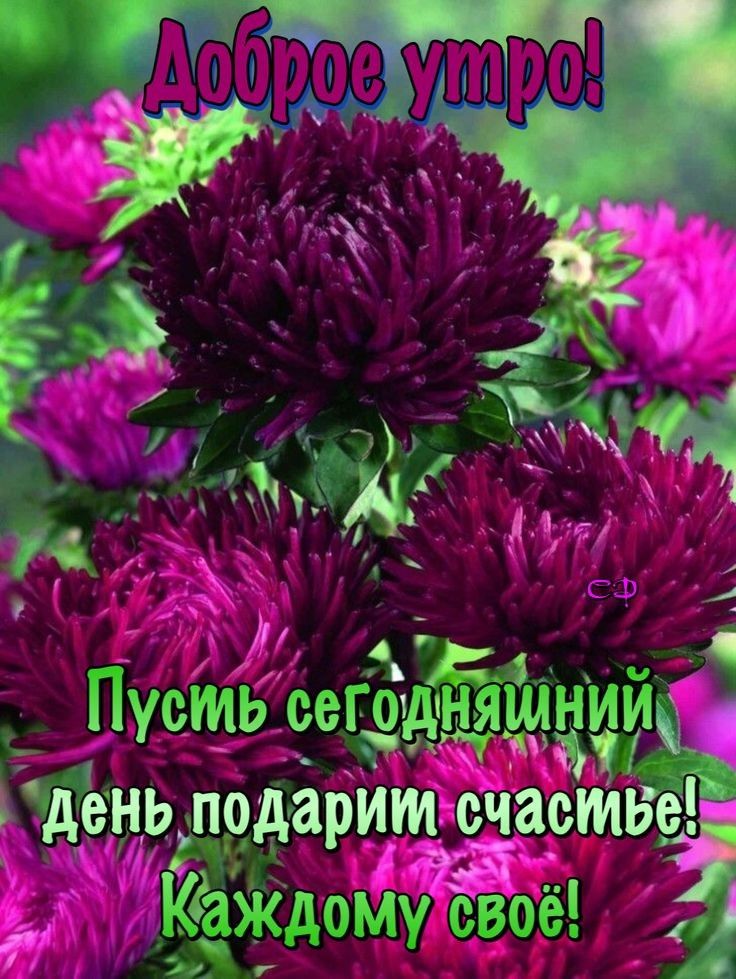 Пусть сегтн Н Мень подарит счаст ь Каждому своё