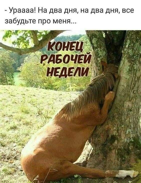 Ураааа На два дня на два дня все забудьте про меня