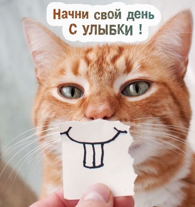 Начни свой день _ С УЛЫБКИ у