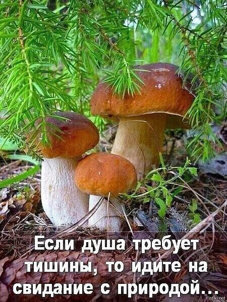 2 дап?ие сп ировой.