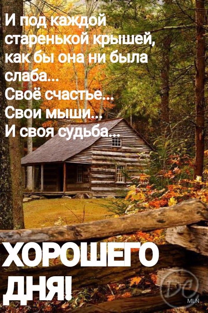 И под й старенькой крышей какбы она ни была слаба _ Своё счастье Свои мышй И сво м