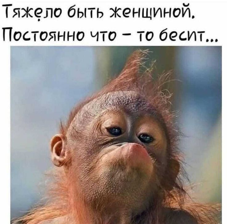 Тяжело быть женщиной Постоянно что то бесит