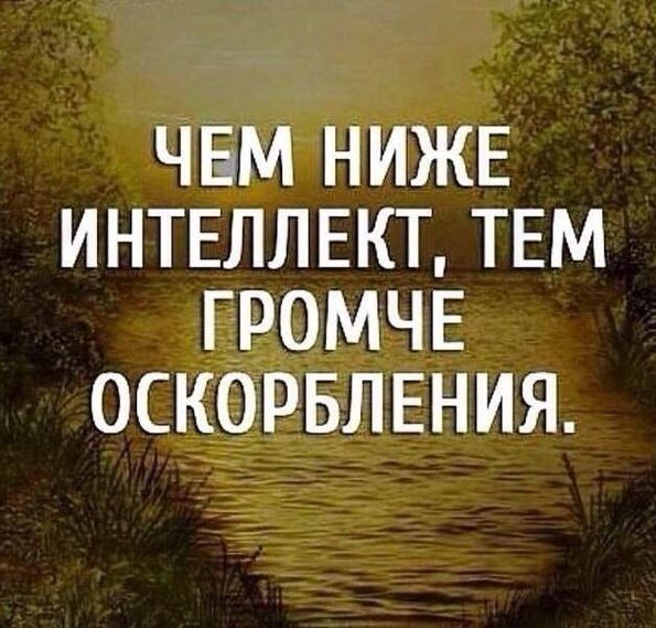 ЧЕМ НИЖЕ ИНТЕЛЛЕКТ ТЕМ ГРОМЧЕ ОСКОРБЛЕНИЯ