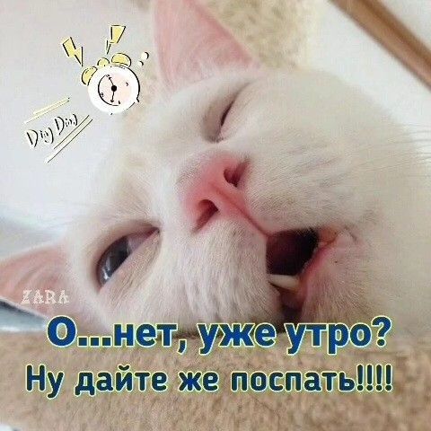 У а Ч симынуна уп Ну дайте же носить