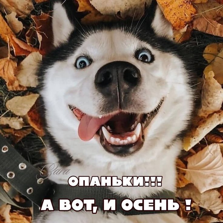 С _ _ _ А вот и осень на