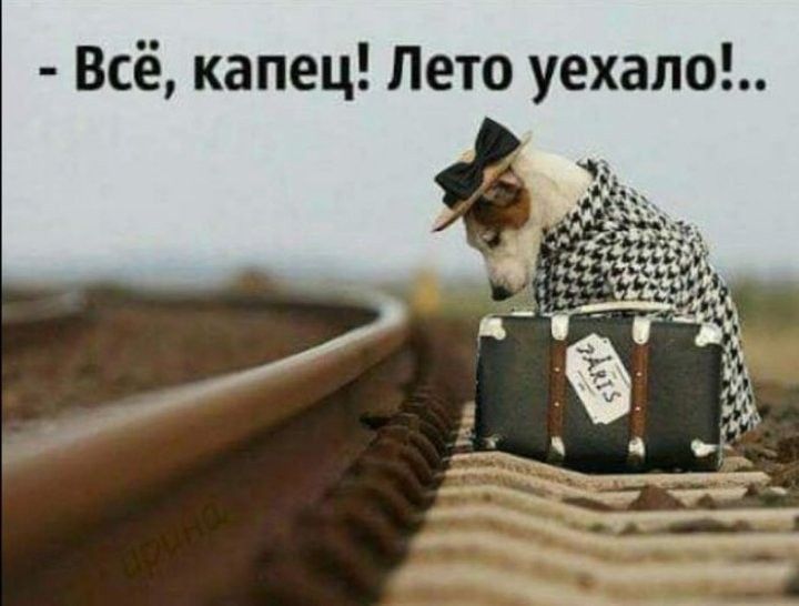 Всё капец Лето уехало