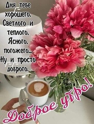 Сведыи теплого Ясиого погожею Ну и прос гад добром