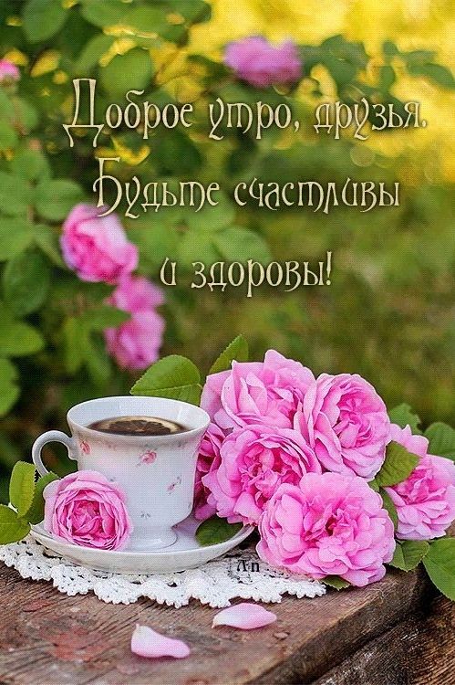 4 0 Доброе утро Друзьіг Уцьше аистшвы