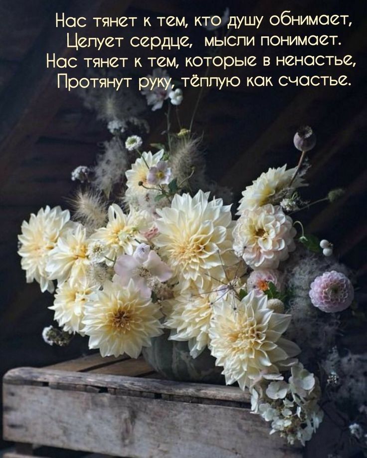 Нос тянет к тем кто душу обнимоет Цепует сердце мыспи понимоет Нос тянет к тем которые в ненастье Протянут ру теплую кок счостье