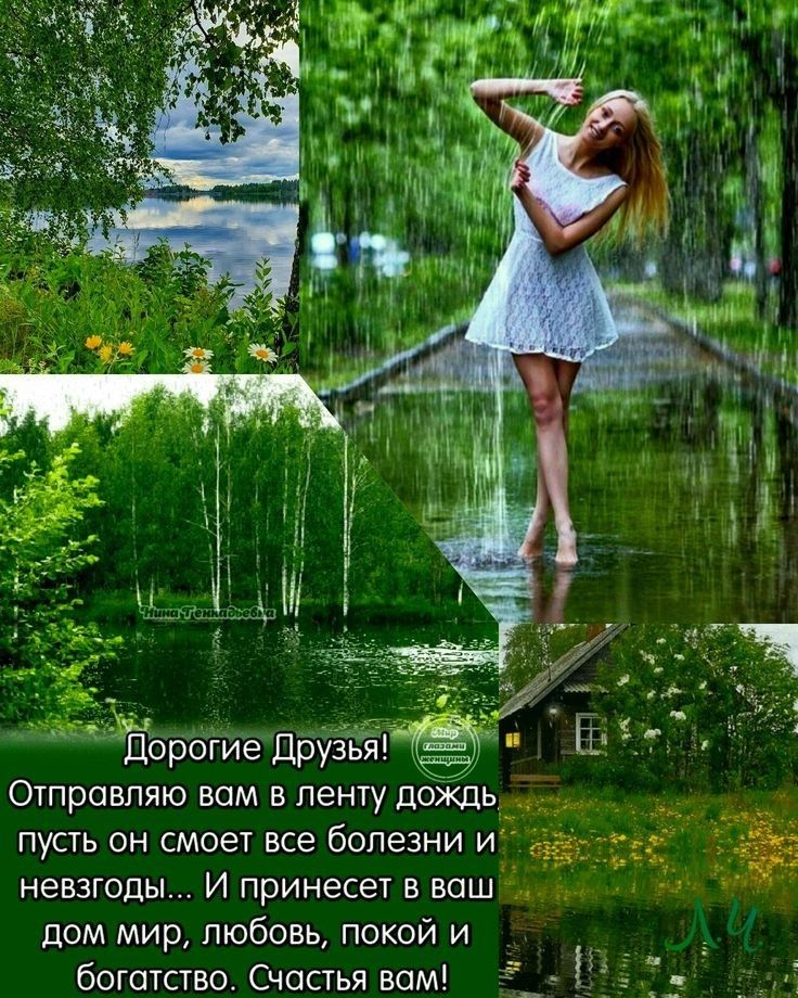 Дождики несут