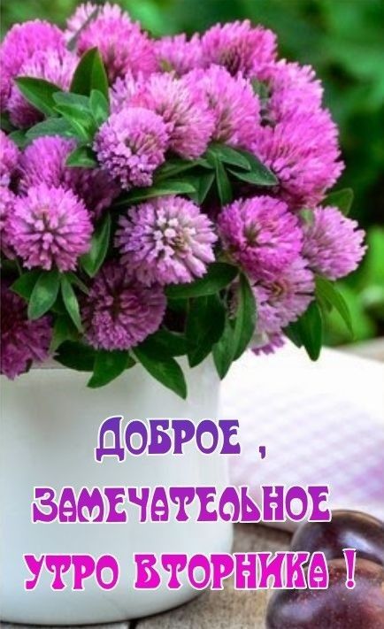 веюъчетъоьнов утро вторника Ё