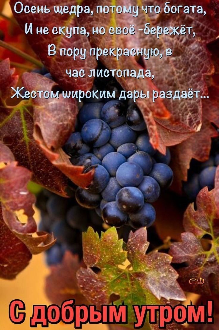 Уч ц.'г' г. П  ымтутром!