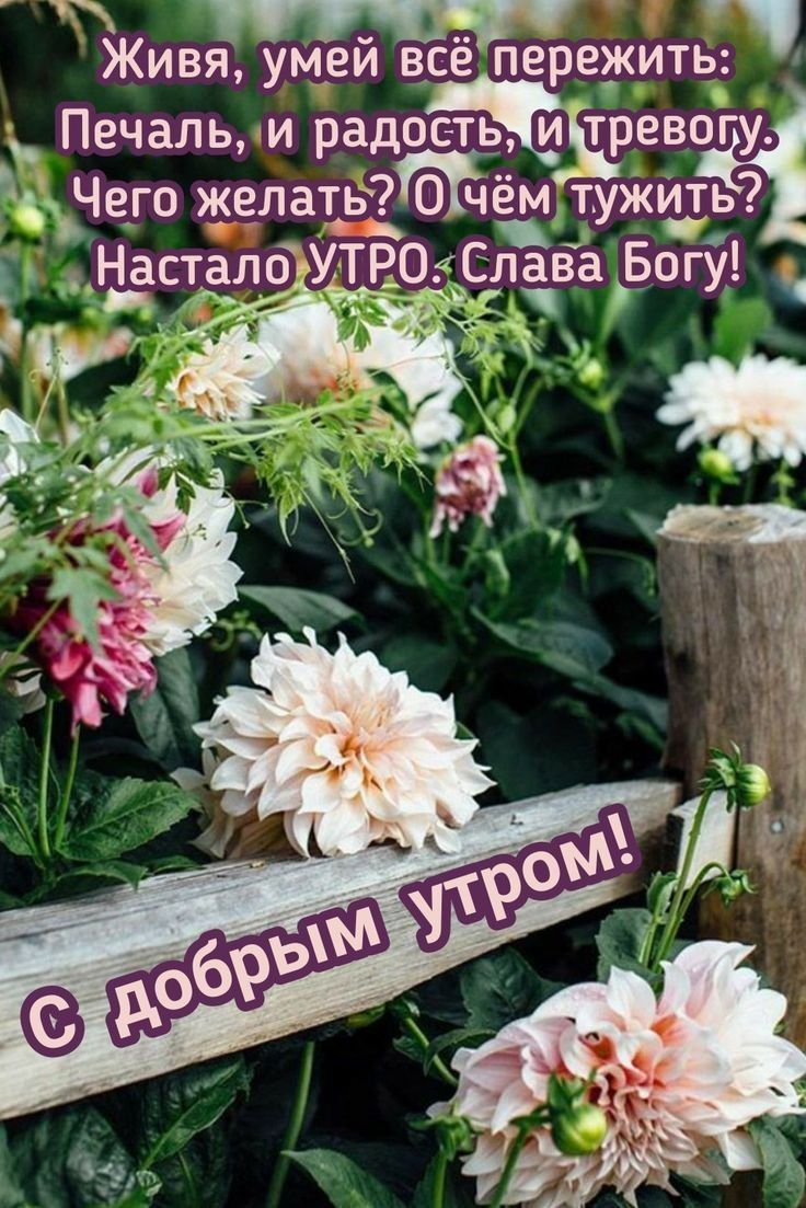 7 Живя умеи все пережить Печаль и радость и тревогу гЧею желать70гчеь1 тужИть НасталоУТР04Слава Богу