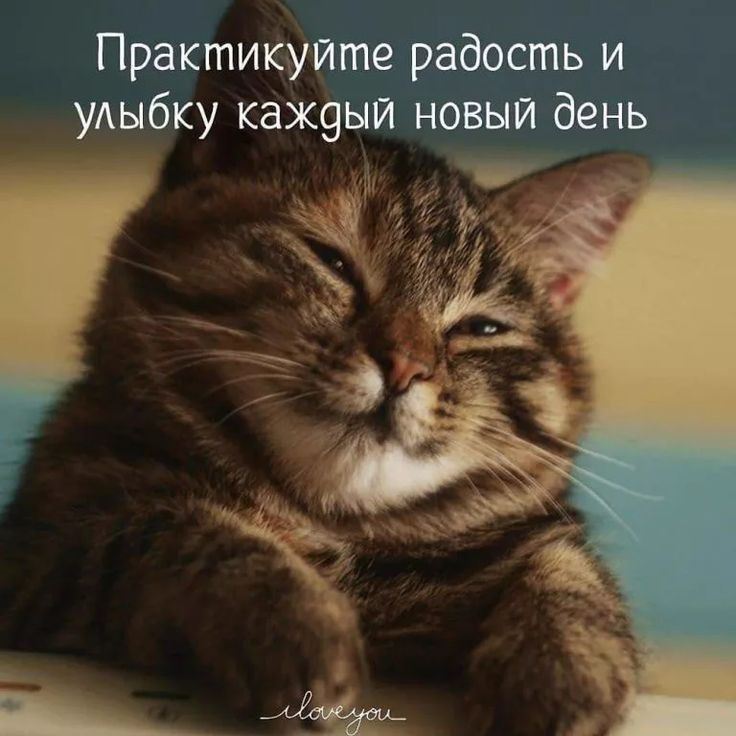 Практикуйте радость и удыбку каж9ый новый день