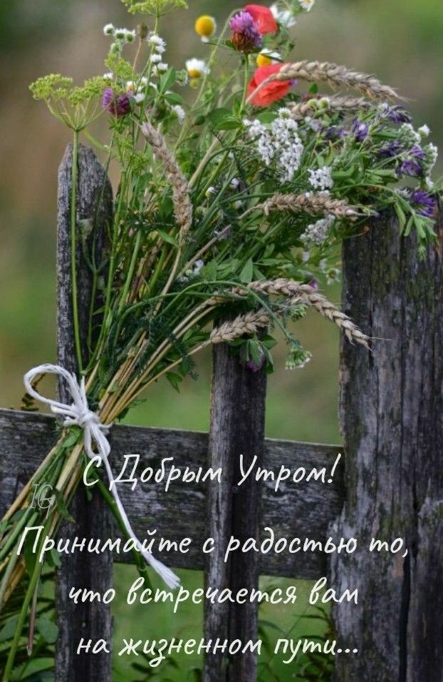_ нт жьдгненнщ пути