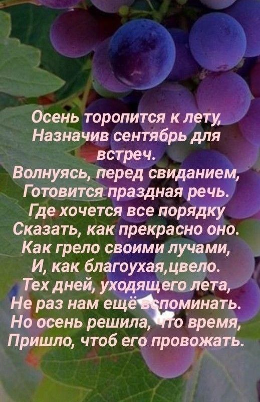 Волнуясь пере сви _ Г отовитеящващна Где хочетсжёсе пор Сказать как прекрасно осень решила овремц прИШло чтоб его пров 3