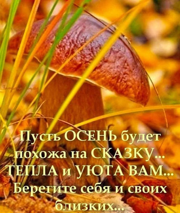 Щусть С Ь б т Ёохожа на С ЗК ут ЛА и УЕОДА ВА А Берщщсеё своих Близк