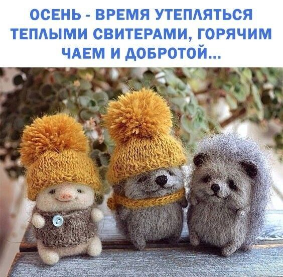 ОСЕНЬ ВРЕМЯ УТЕПАЯТЬСЯ ТЕПАЫМИ СВИТЕРАМИ ГОРЯЧИМ ЧАЕМ И АОБР0Т0Й