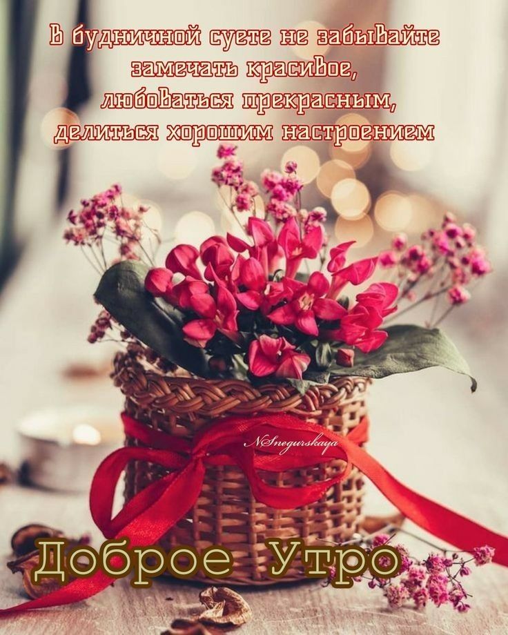 кра дид я ЩШ напррщгщэд Ё