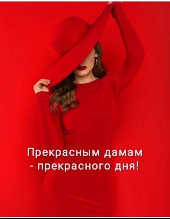 3  прекрасным дамам  прекрасного дня!