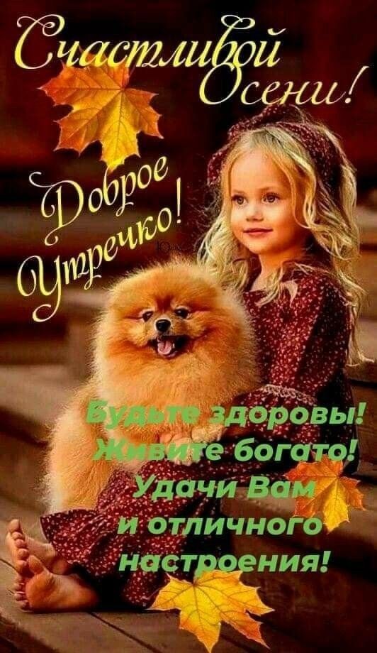 ЁЧЙБЩАЦЁ