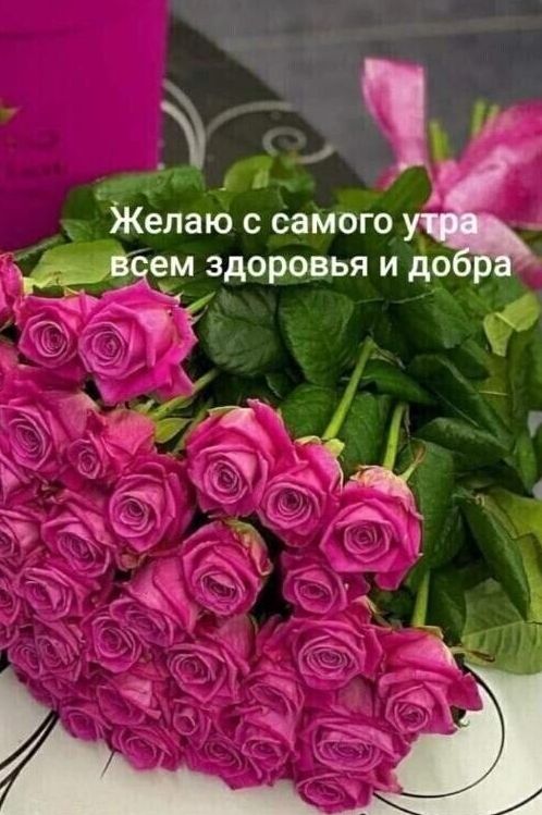 т Ъ елаю с сетью у 6 Зд0ЬЯ Ид