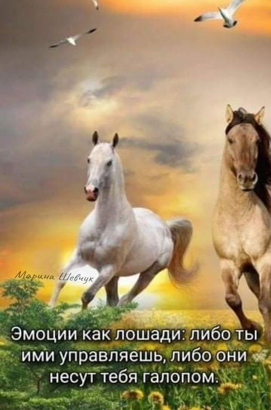 Эмоции как лоша и либо ты ИМИ управляешь ЛИбОРНИ