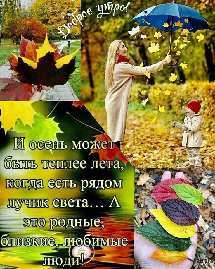кфхгдіа есть рядом лучик света А Ёрл буш Зте й юбймые п толиЫ