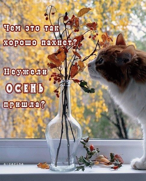 Й к, «.