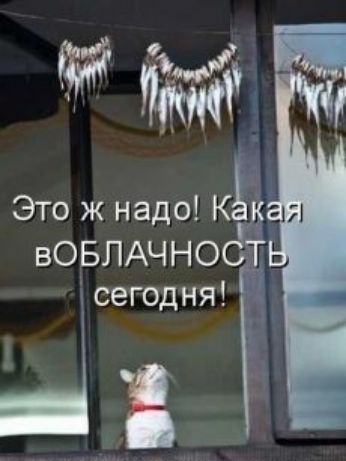 Это ж надо Кё вовпАчноёт сегодня Г _