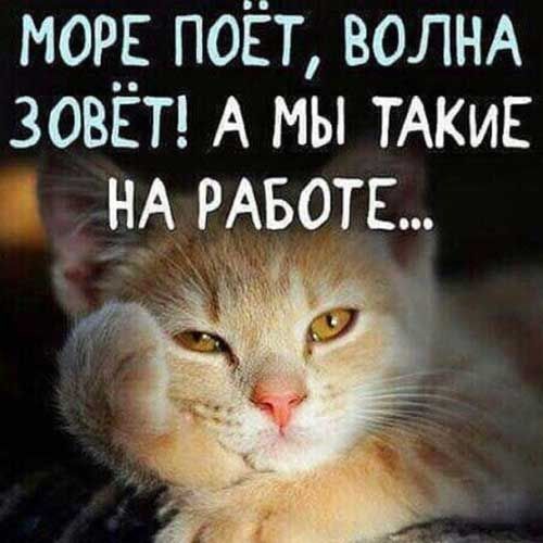 мор поёт ВОЛНА ЗОВЕТ А мы ТАКИЕ _ НА РАБОТЕ