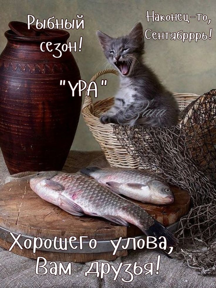 КЖЩТЩ7 азатёзбррфлы