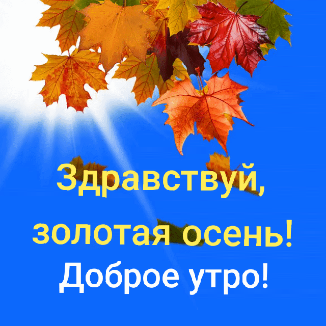 Здравствуй золотая осень Доброе утро