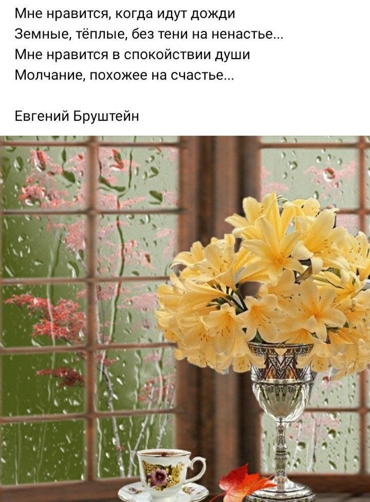 Мне нравится когда идут дожди Земные тёплые без тени на ненастье Мне нравится в спокойствии души Молчание похожее на счастье Евгений Бруштейн